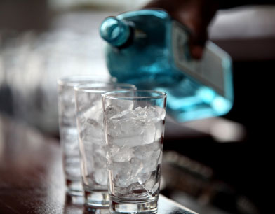 Gin Gin